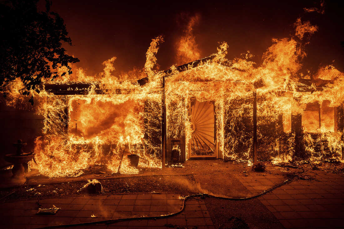 Bay Area Wildfires: Understanding the Risks and Strategies for Prevention – Homeowners Guide