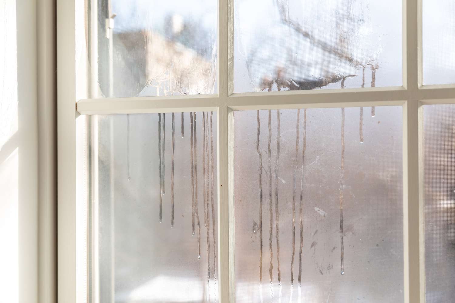 The Causes and Prevention of Window Condensation