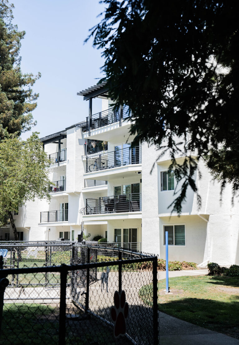 apartment window replacement