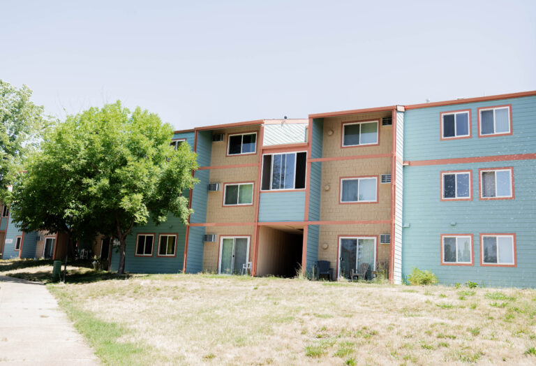 windows replacements