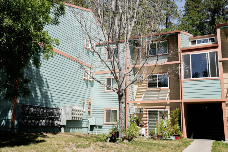 windows replacements