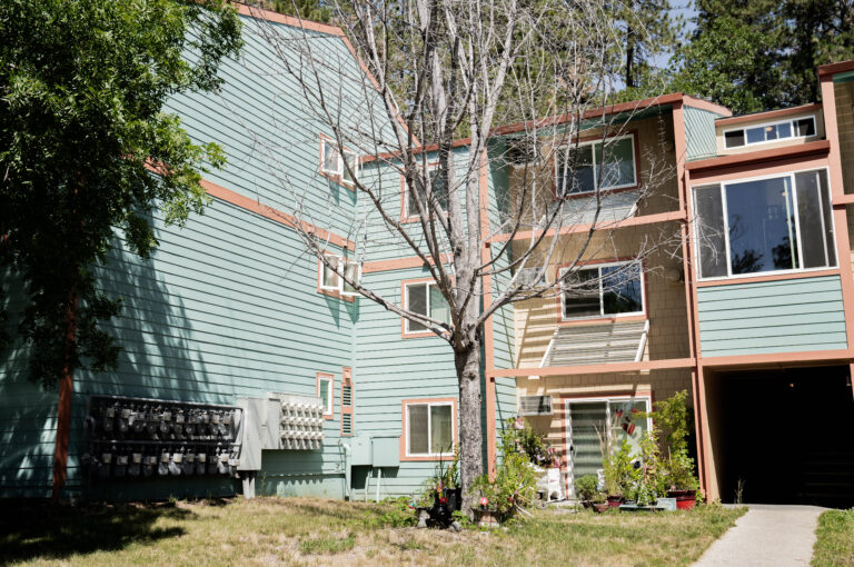 windows replacements