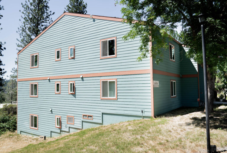 windows replacements