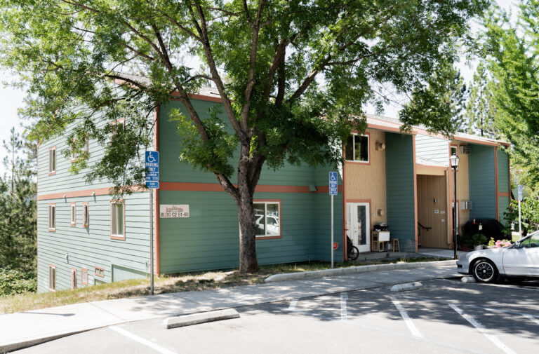 windows replacements