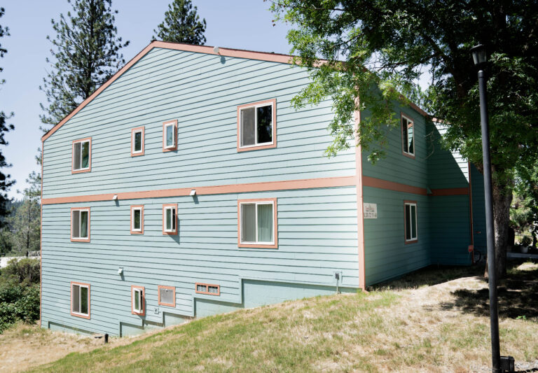 windows replacements