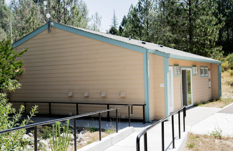 windows replacements