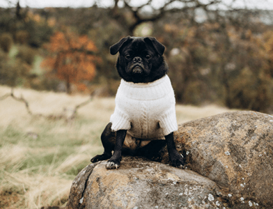 commercial building siding