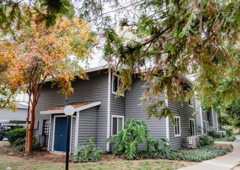 house window replacement