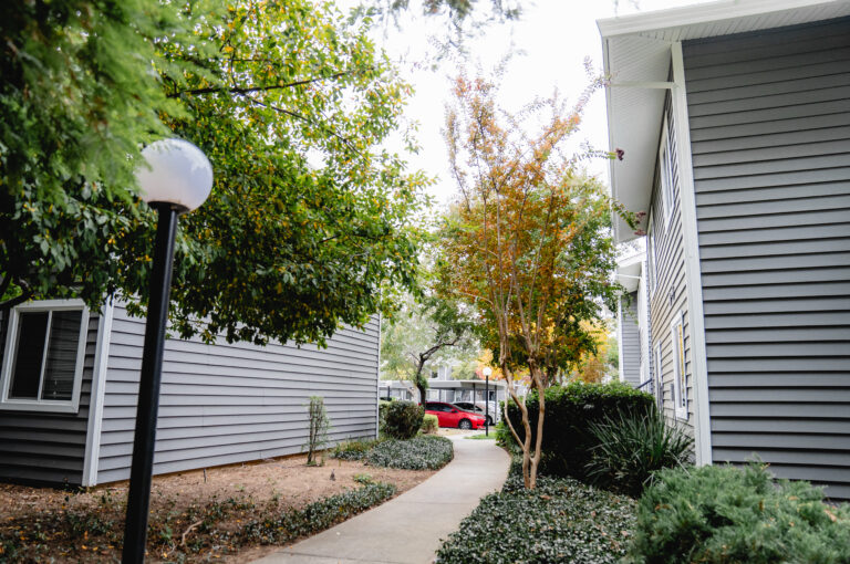 house window replacement