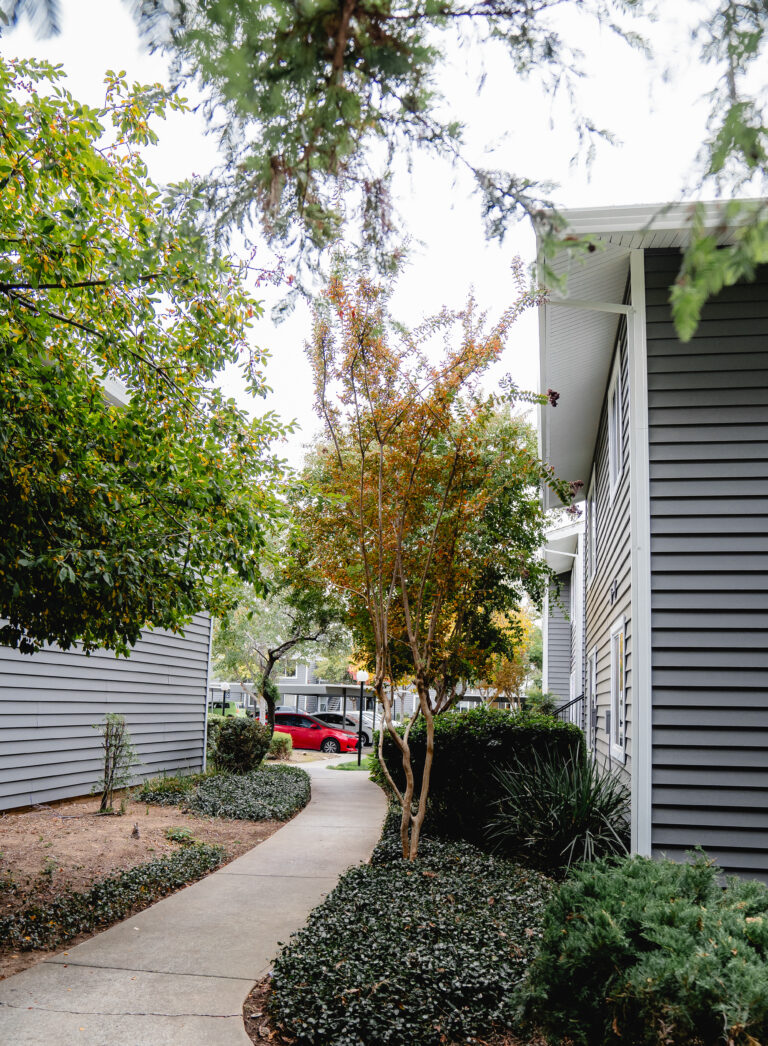 house window replacement