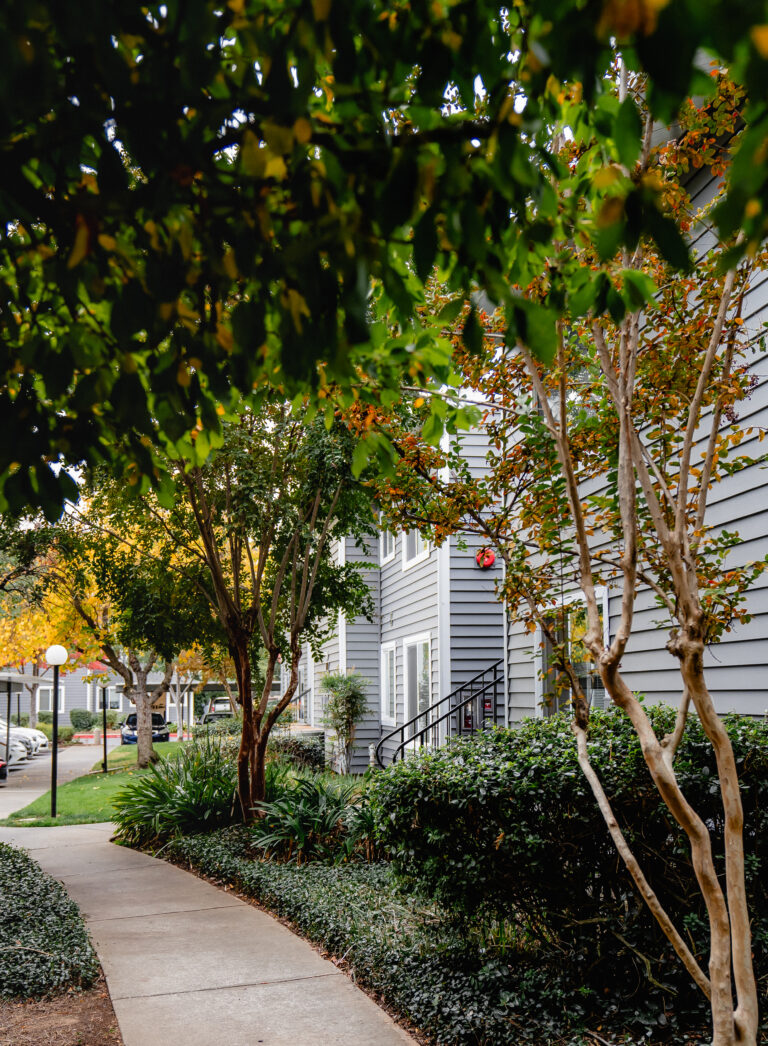 house window replacement