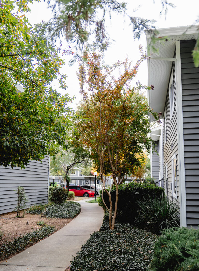 house window replacement