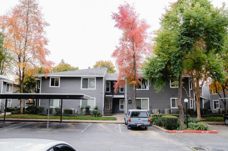house window replacement