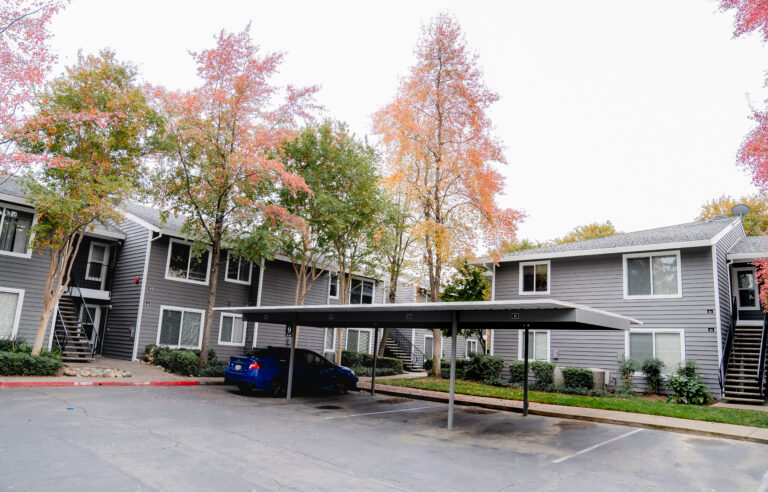 house window replacement