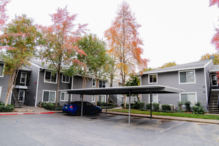 house window replacement