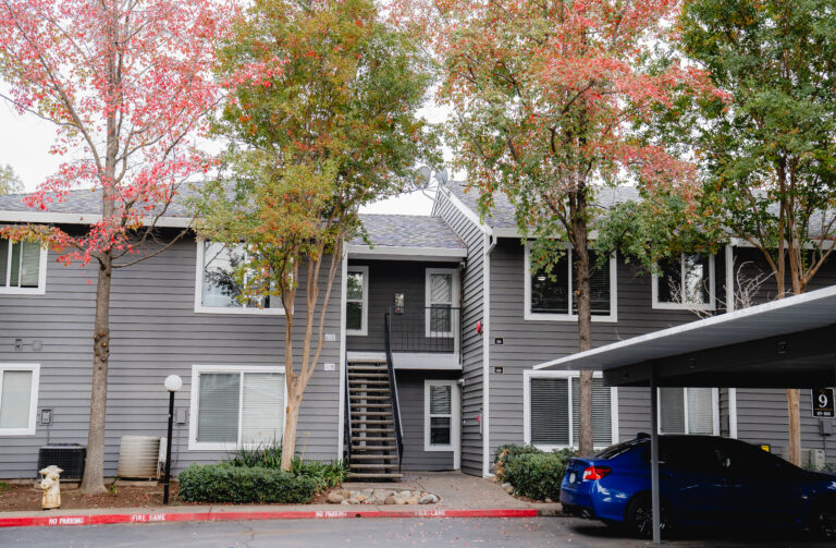 house window replacement