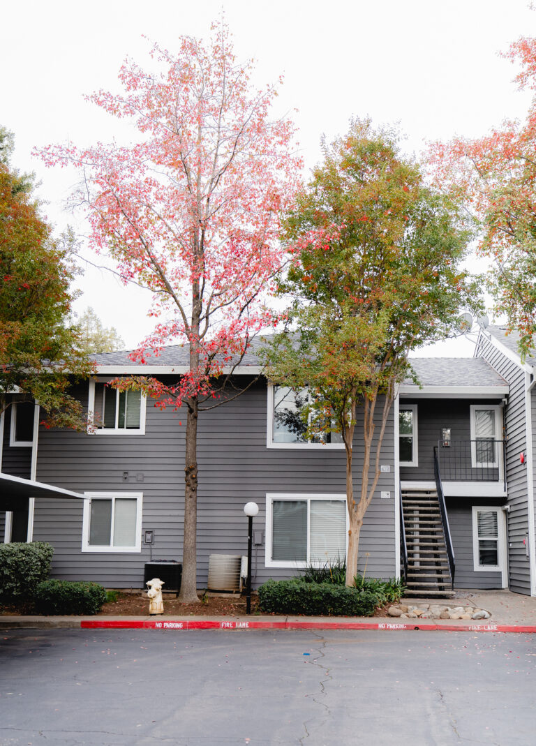 house window replacement