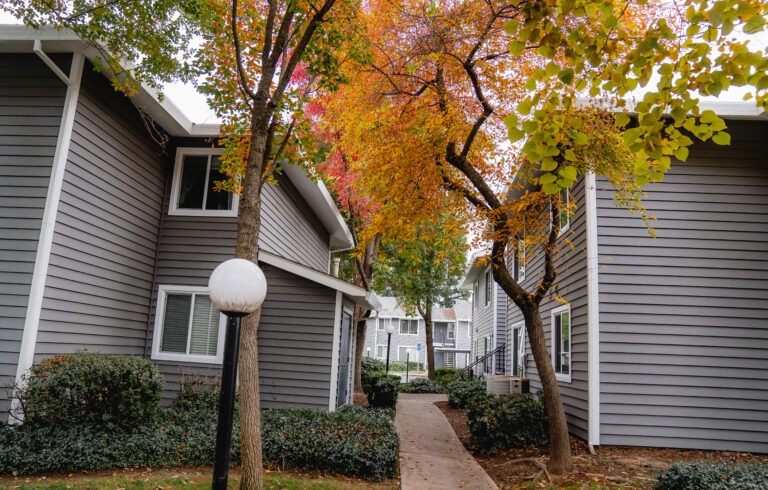house window replacement