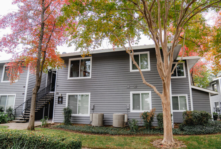 house window replacement