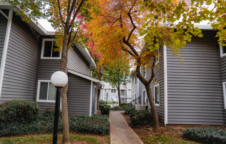 house window replacement