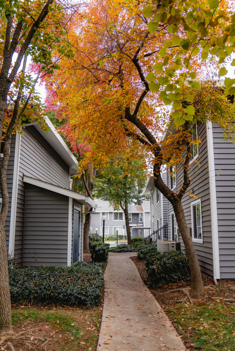 house window replacement