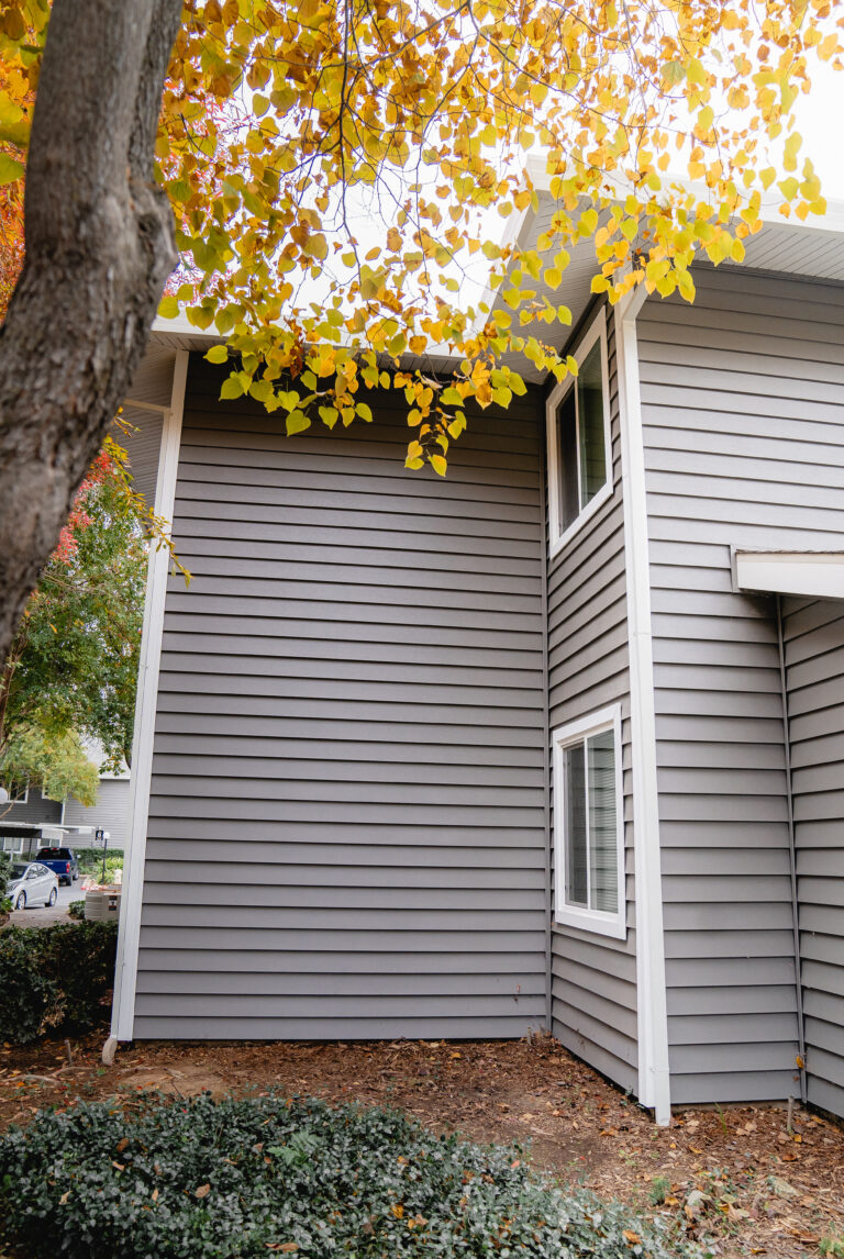 house window replacement