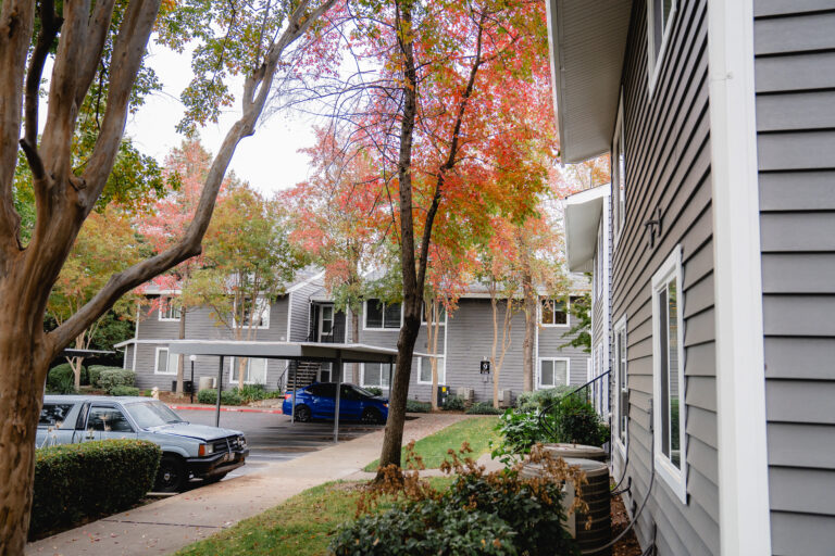 house window replacement