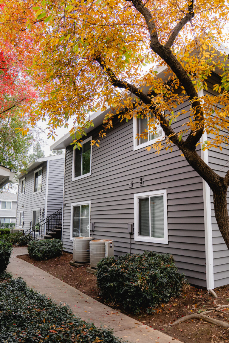 house window replacement