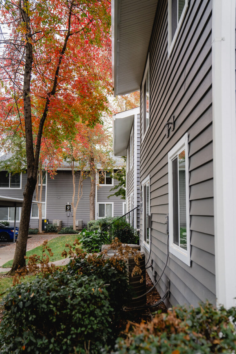 house window replacement